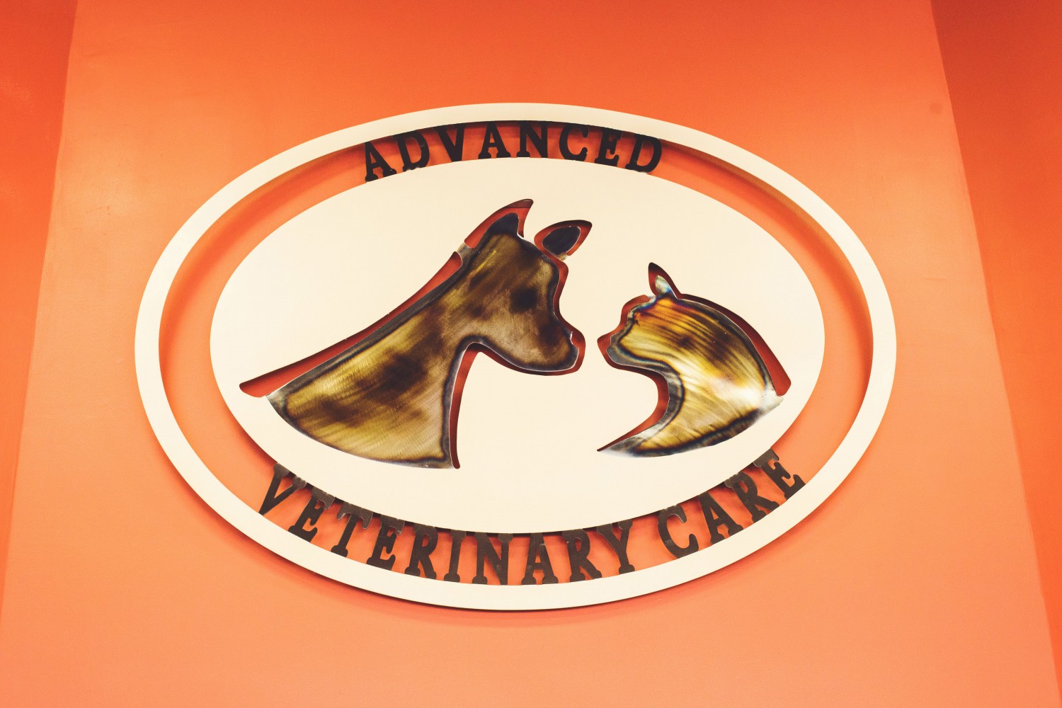 Advanced Veterinary Care