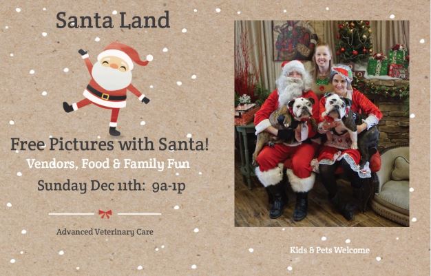 Avanced Vet Care | Santa Land Promo - Free Pictures with Santa, Vendors, Food & Family Fun - Sunday Dec 11th from 9a-1p